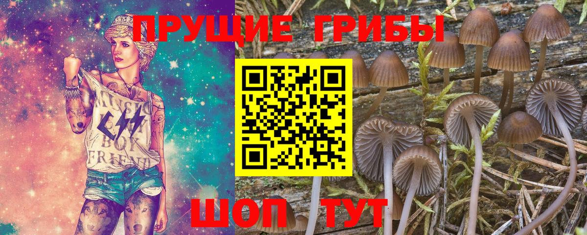 Alpha PVP СК кристаллы  COCAIN  Где купить  Конопля  Меф   Вход с VPN  Новотроицк  ГАШИШ 