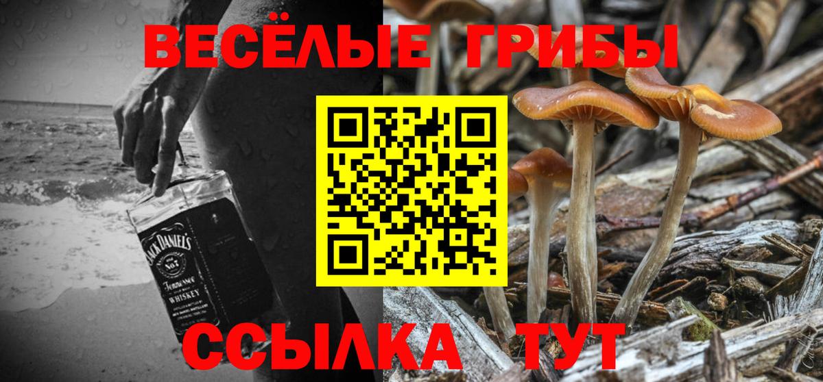 Псилоцибиновые грибы ЛСД Новотроицк