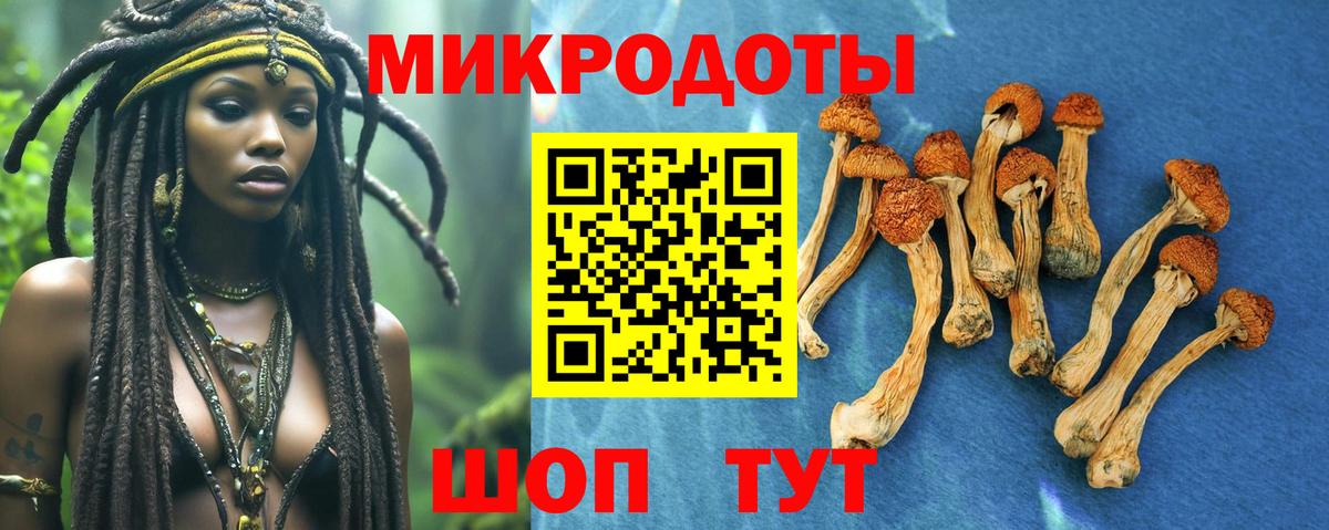 Новотроицк  Псилоцибиновые грибы прущие грибы  купить   Вход с VPN 