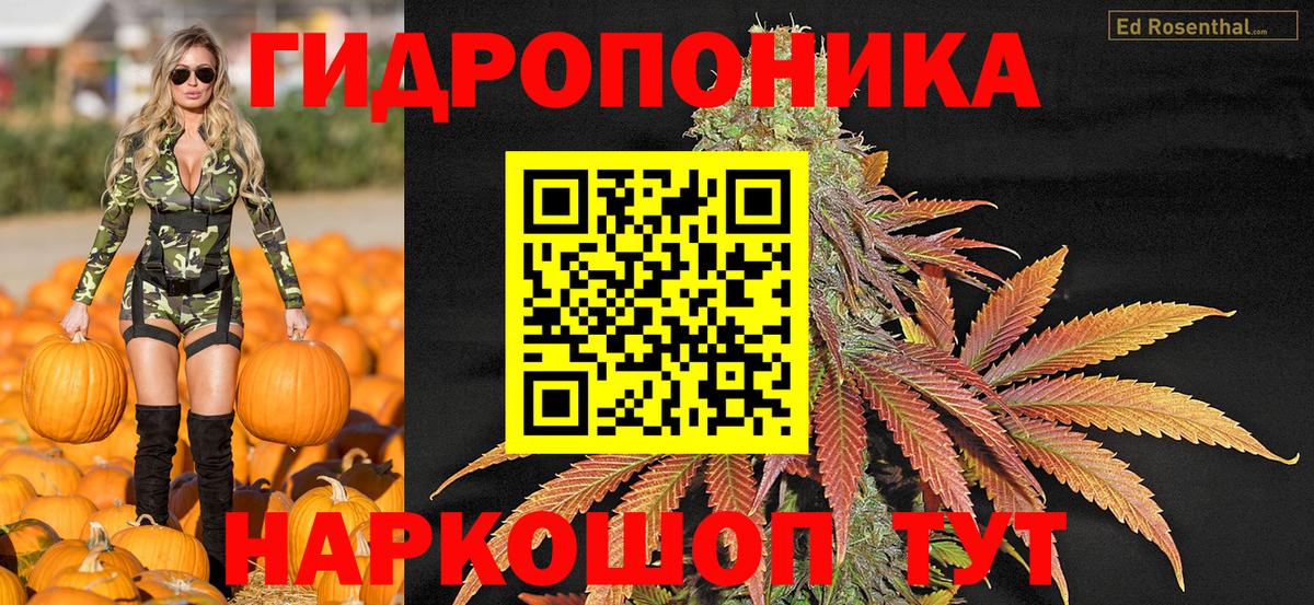 Каннабис индика Новотроицк